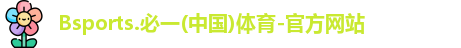 B体育官网